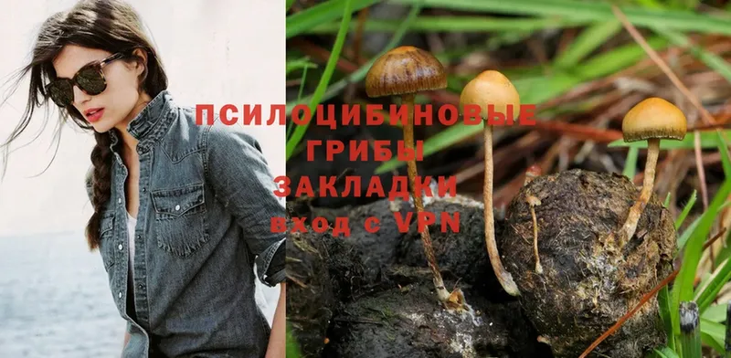 omg как войти  Нарткала  Галлюциногенные грибы Magic Shrooms 